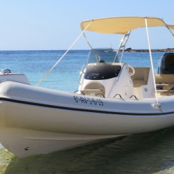 Blanca Black Fin Elegance 8-1