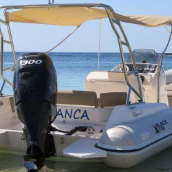 Blanca Black Fin Elegance 8-2