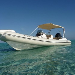 Blanca-Black-Fin-Elegance-8-9