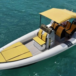 The Wasp Avila Tuono Type 7 ibiza
