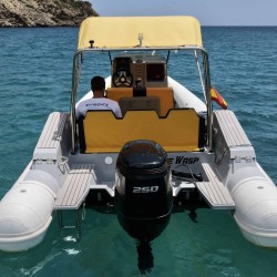 The Wasp Avila Tuono Type 7 ibiza 4