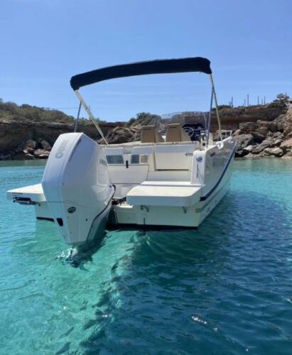 Quicksilver Activ 755 Open Ibiza 9 boat