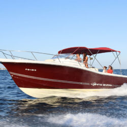 Lancha White Shark 298 Pitu Ibiza 1