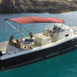 Lancha Whiate Shark 298 Pitu Ibiza 4