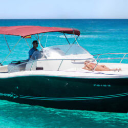Lancha White Shark 298 Pitu Ibiza 6