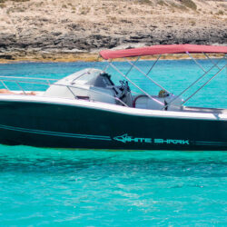 Lancha White Shark 298 Pitu Ibiza 7