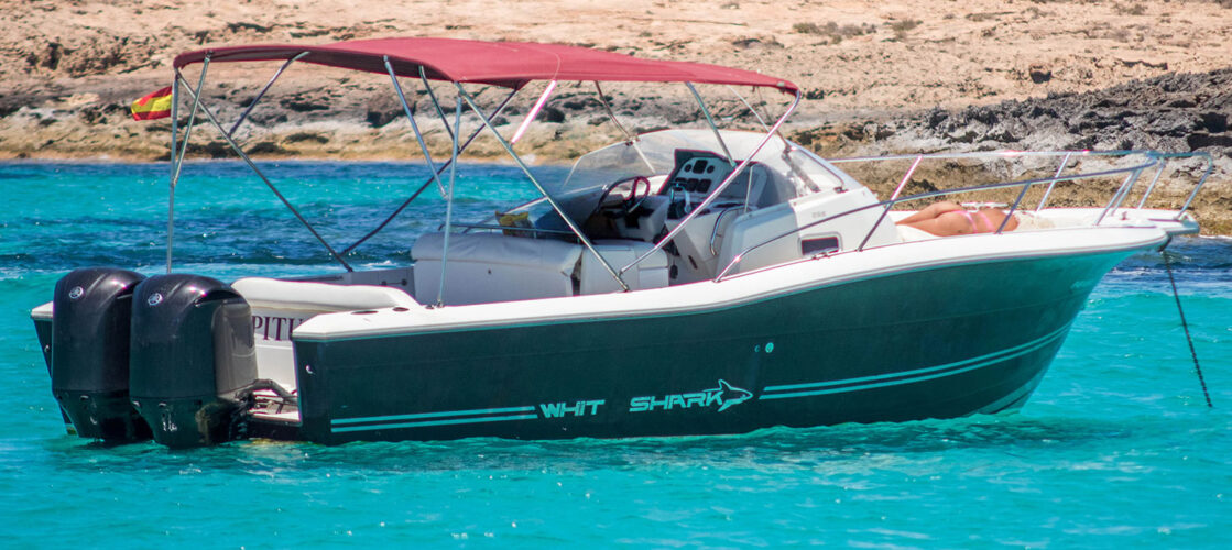 Lancha White Shark 298 Pitu Ibiza 8