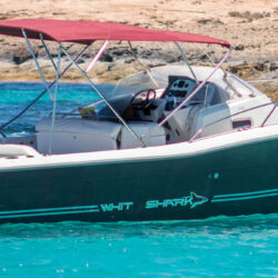 Lancha White Shark 298 Pitu Ibiza 8
